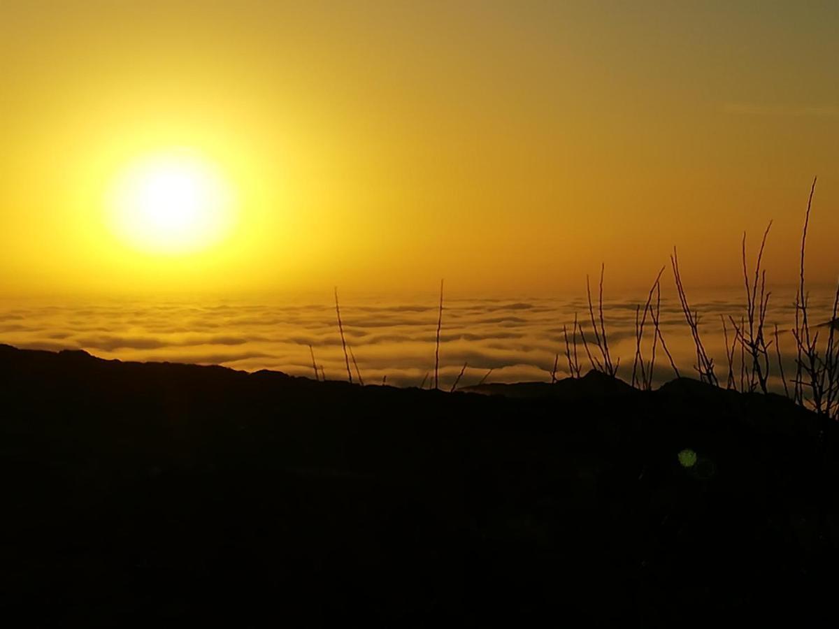 Villa Adeiata Adiata Buitenkant foto