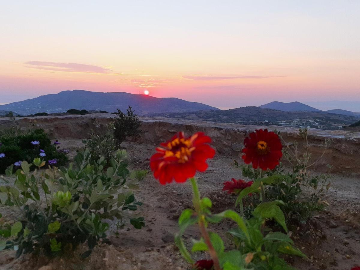 Villa Adeiata Adiata Buitenkant foto
