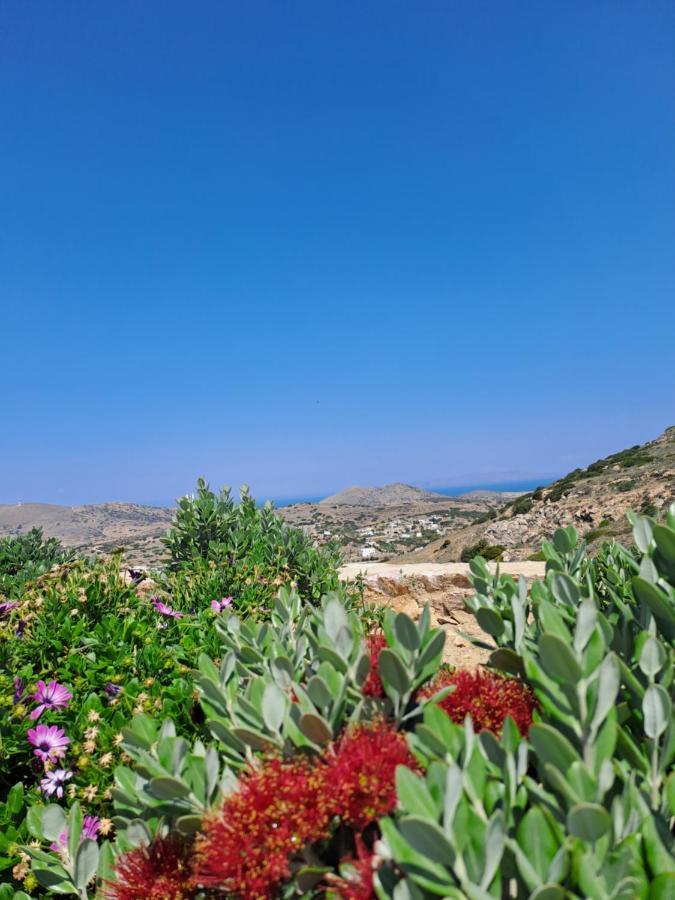 Villa Adeiata Adiata Buitenkant foto